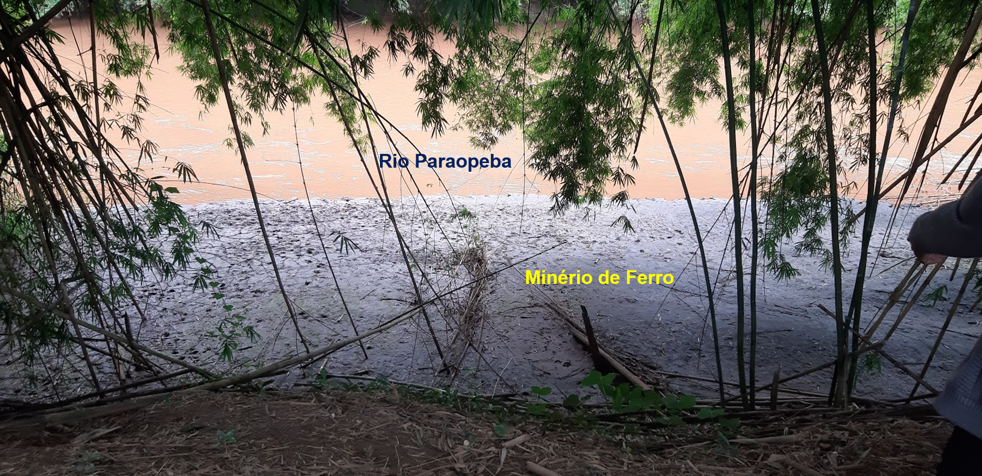 minério de ferro poluição no rio Paraopeba
