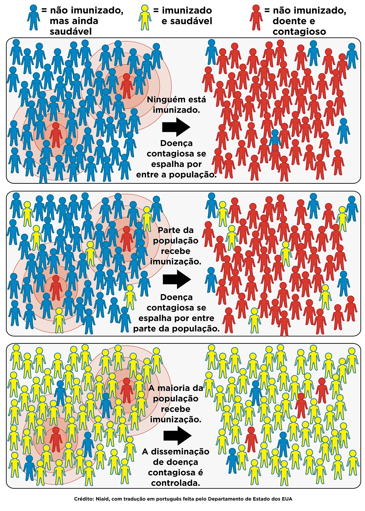 Imunidade coletiva ou efeito rebanho: importância da vacinação para controlar a disseminação de doenças