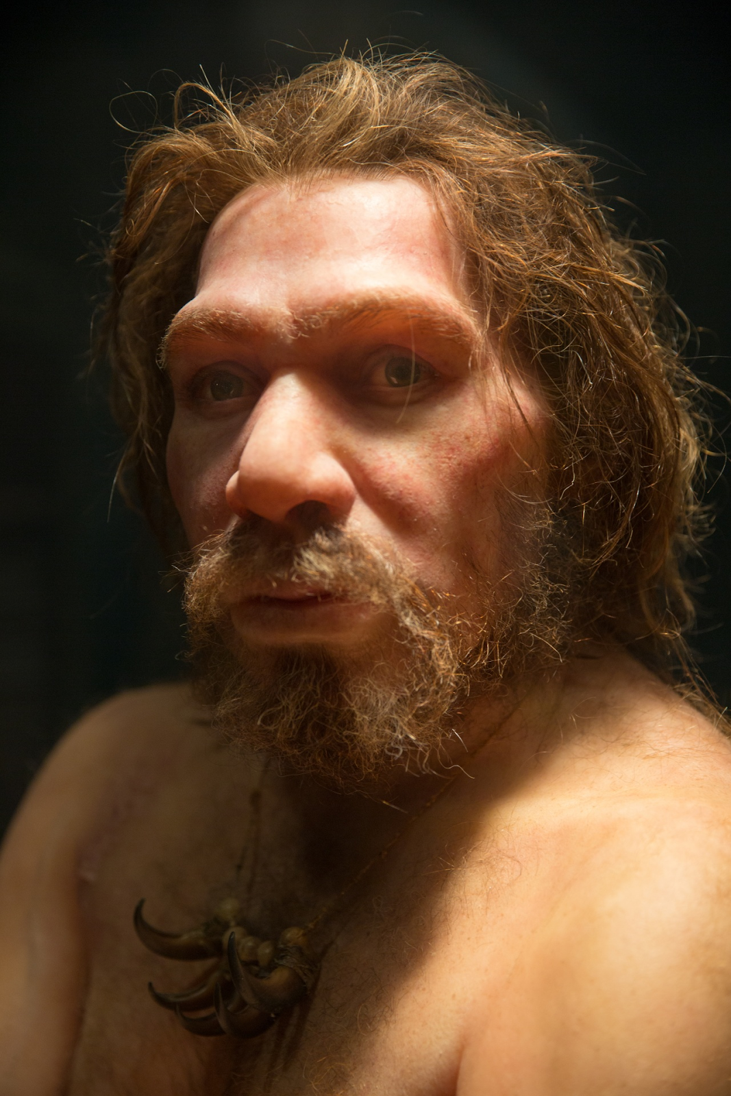 Representação de um neandertal.