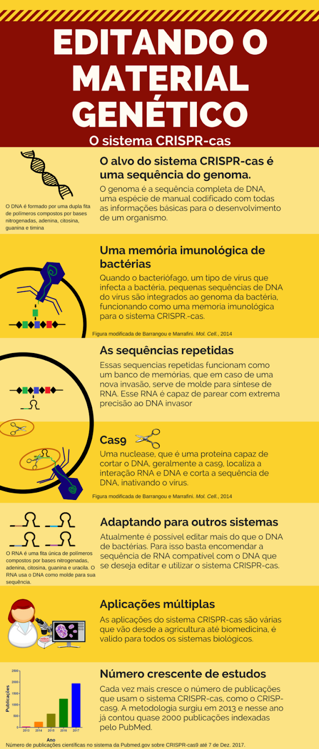 Infográfico sobre funcionamento da técnica CRISPR.