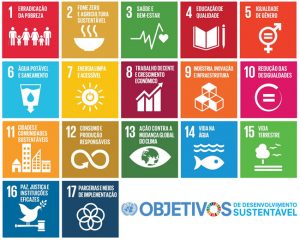 Objetivos de desenvolvimento sustentável, propostos pela ONU para o desenvolvimento até 2030.