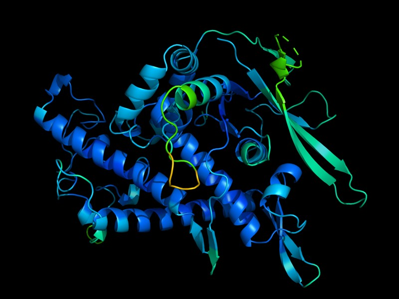 Estrutura 3D de uma proteína gerada por predições computacionais.