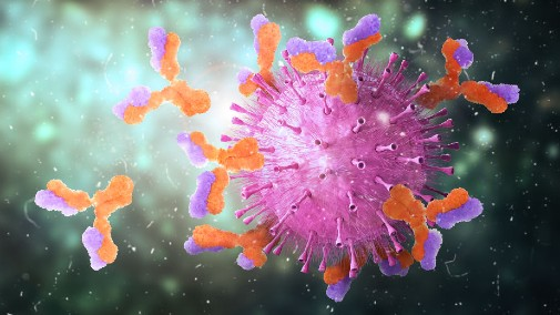 Representação de anticorpos, que apresentam estrutura em Y, interagindo com o vírus.