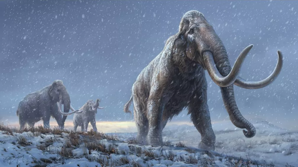Ilustração de três mamutes peludos e cobertos com neve, andando em uma região coberta de neve e plantas secas.
