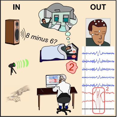 Esquema ilustrando o funcionamento do experimento. Estão na imagem: uma pessoa deitada sonhando, aparelhos de emissão de som e luz, um cientista acompanhando o experimento, e os resultados do exame.