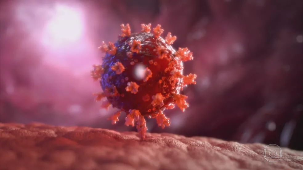 Representação do coronavírus, um vírus redondo com proteínas se projetando para fora da membrana. Uma dessas proteínas está conectada à um receptor na superfície da célula, prendendo os dois.