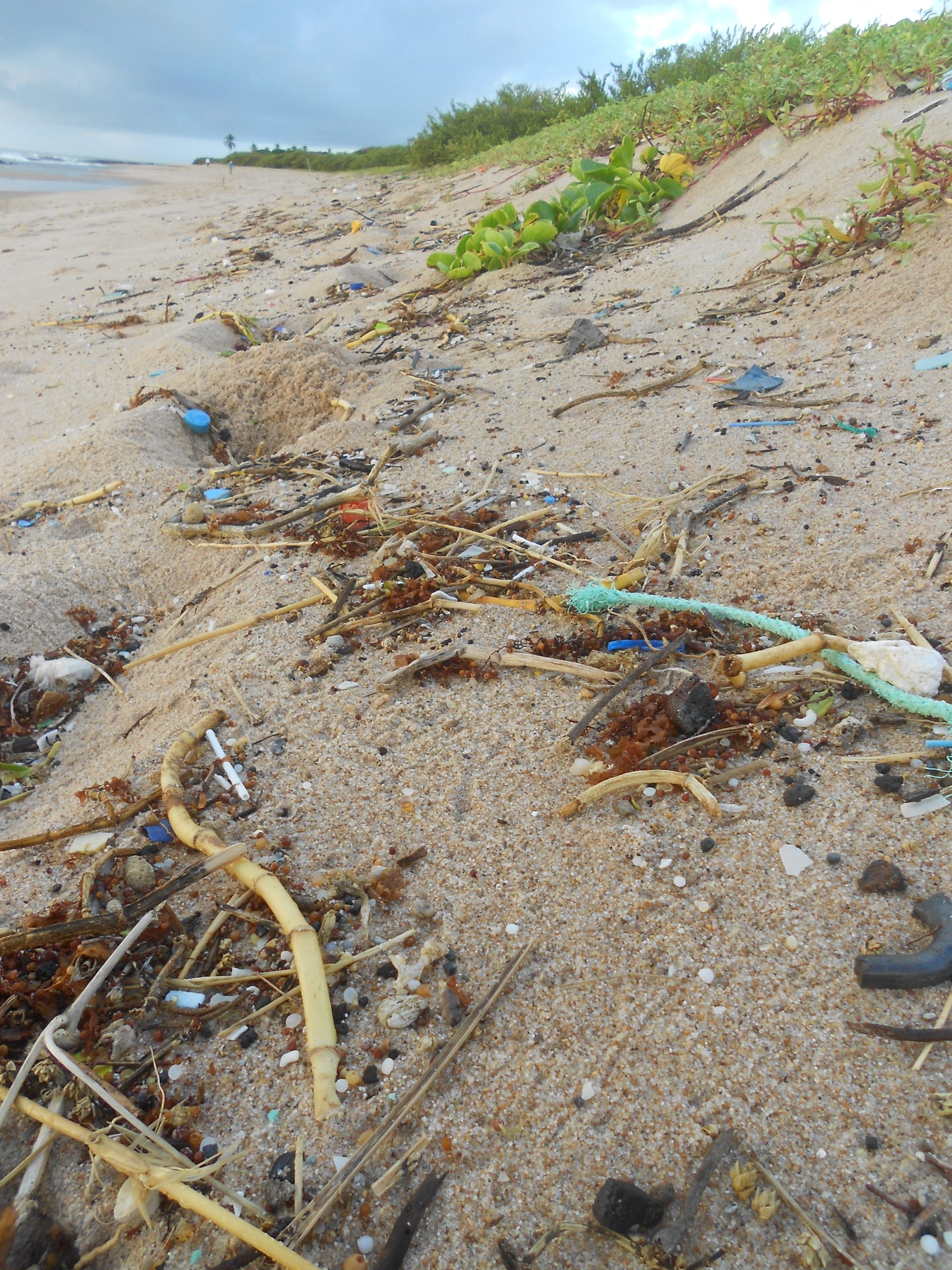 Fotografia da faixa de areia da praia de Jauá, BA. Em primeiro plano há muitos detritos na areia, como restos de vegetação natural do ambiente e principalmente itens de lixo. Esse lixo, majoritariamente plástico, é representado por microplásticos, pedaços de corda, tampinhas de garrafa, pedaços de isopor e outros fragmentos não identificáveis. Ao fundo, a faixa de areia se mistura com a vegetação de restinga e o céu está nublado