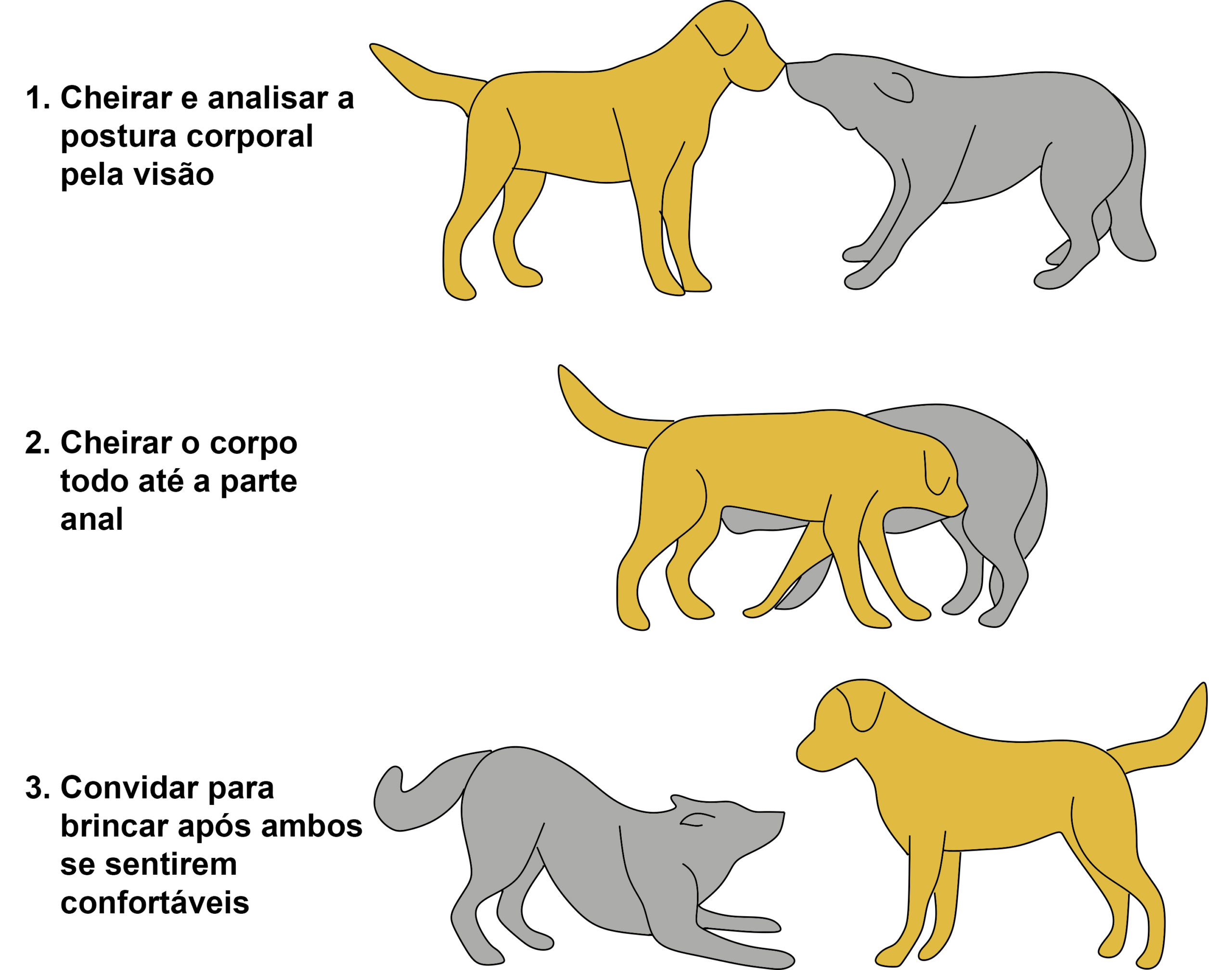 LINGUAGEM do CACHORRO e os SINAIS de CALMA - Guia completo