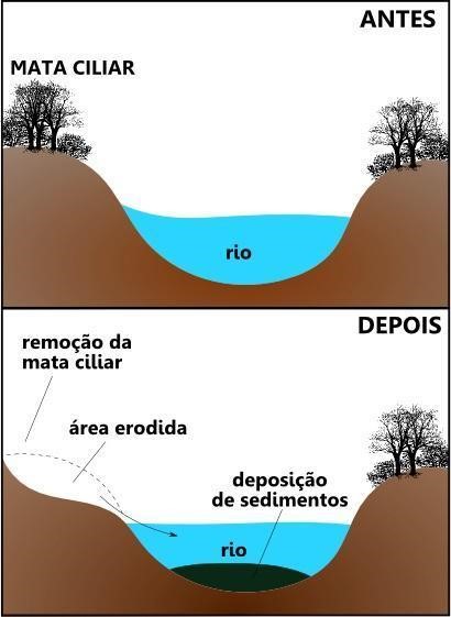 Por Que Enchentes E Deslizamentos Acontecem Ilha Do Conhecimento 4056