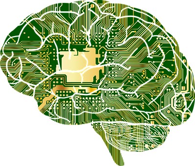 circuitos cerebrais