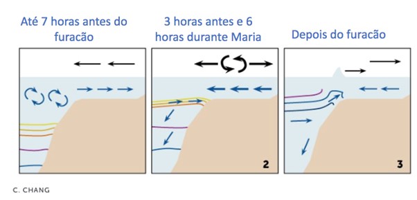 corais furacão poluição