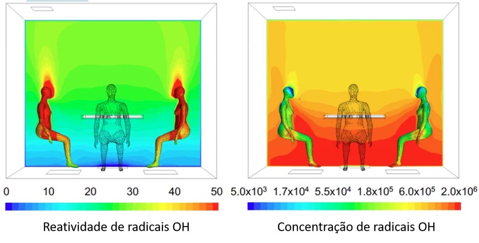 corpo humano oxidação