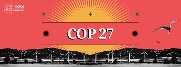 economia bioeconomia cop27 floresta