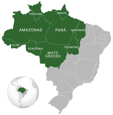 floresta amazônica amazônia