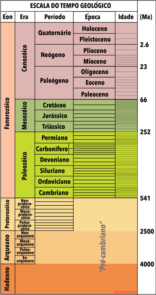 crocodilos