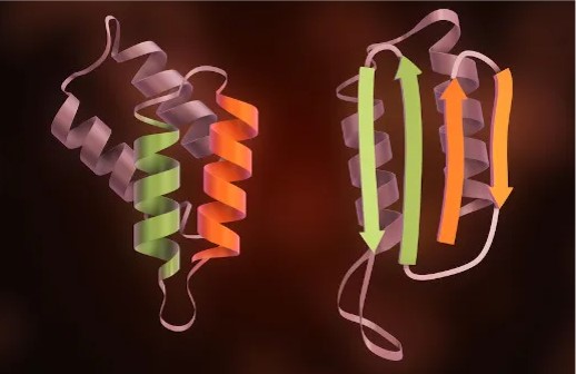 prions proteínas