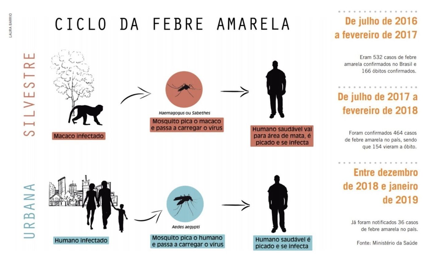 febre amarela