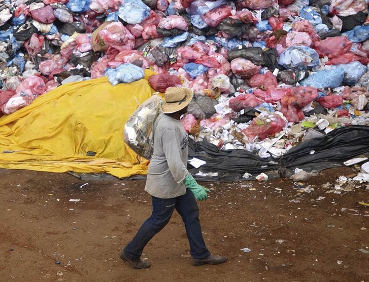 vírus catadores reciclagem