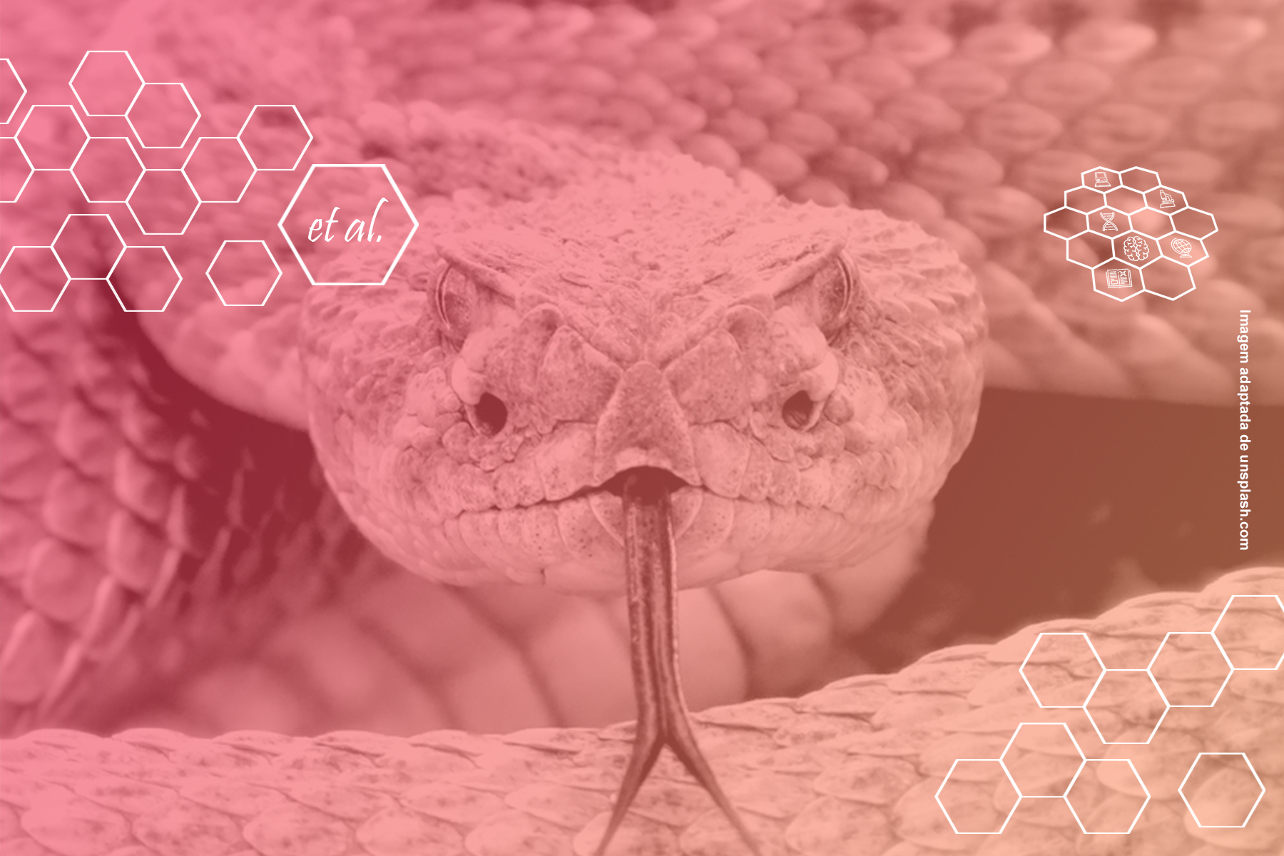 Qual a diferença entre cobra e serpente? Entenda já! - Blog da Cobasi